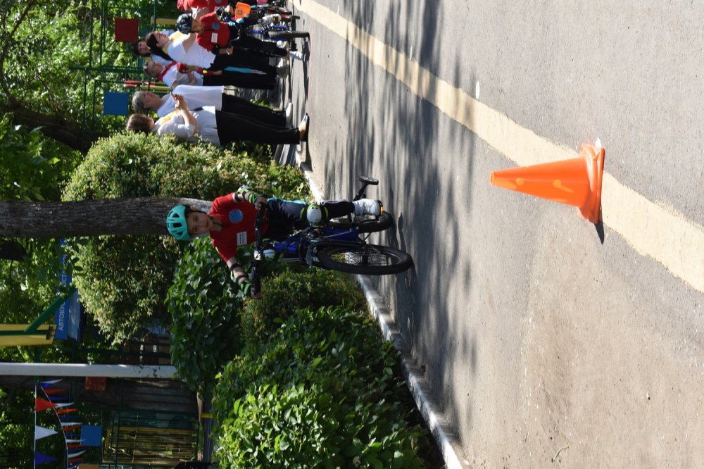 img (8)